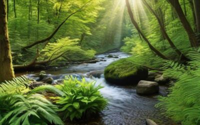 Spinoza and health: Exploring the Mind-Body Connection for Holistic Wellbeing