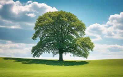 Spinoza and freedom: Exploring the Mind-Body Connection in Modern Philosophy and Vision Improvement